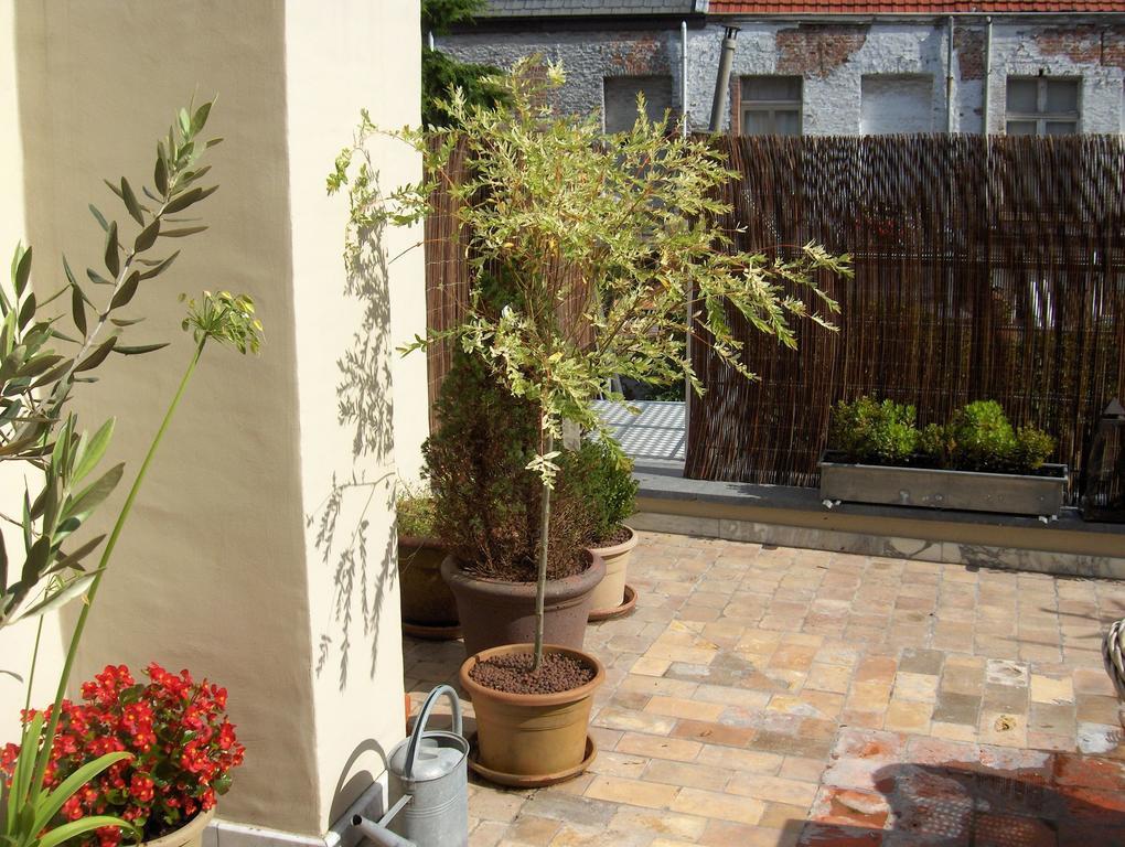 B&B De Lachende Engel Mechelen Oda fotoğraf